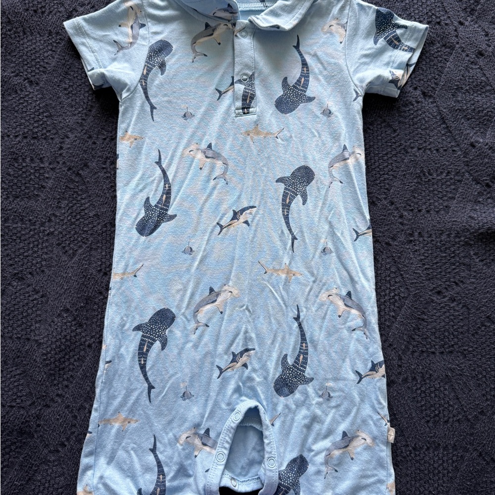 Kyte Baby: Polo Shortall on Stream Shark 2T